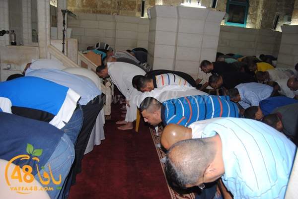 tararwee7 kaberej (38).JPG